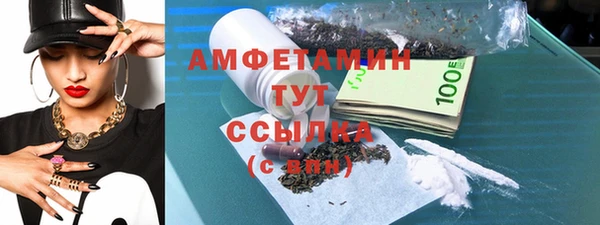 прущие грибы Гусиноозёрск