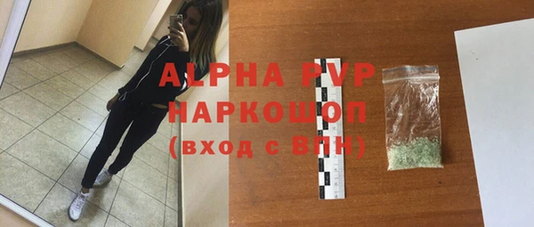 прущие грибы Гусиноозёрск