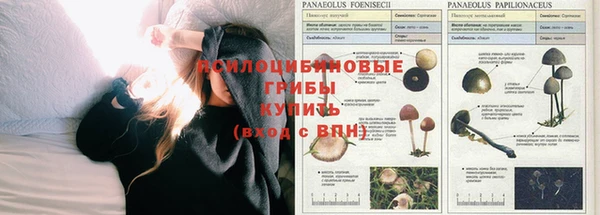 mdma Гусев