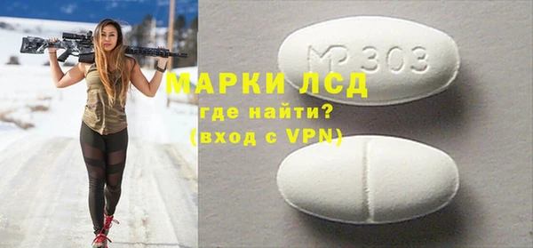 прущие грибы Гусиноозёрск