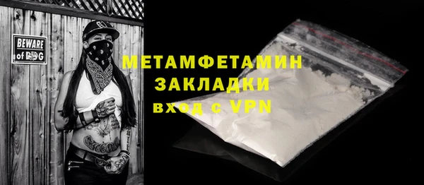прущие грибы Гусиноозёрск