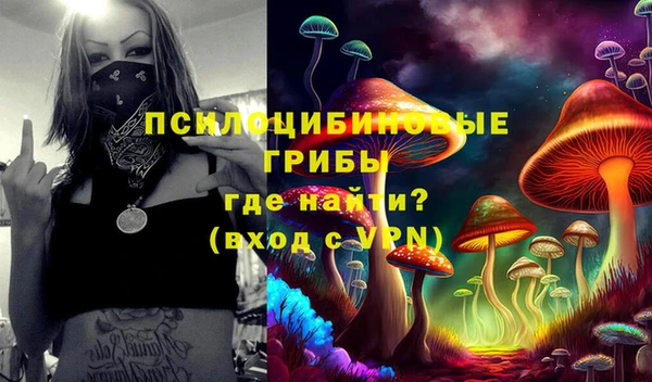 прущие грибы Гусиноозёрск