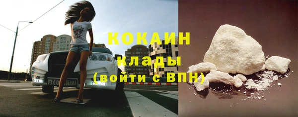 прущие грибы Гусиноозёрск