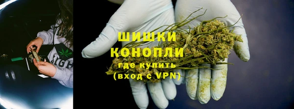 прущие грибы Гусиноозёрск