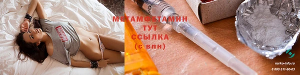 прущие грибы Гусиноозёрск