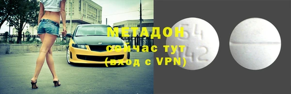 прущие грибы Гусиноозёрск