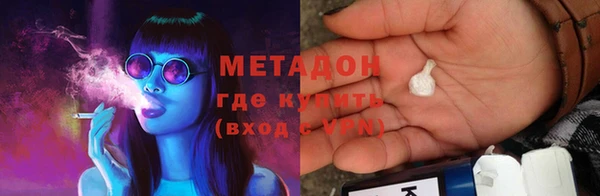 прущие грибы Гусиноозёрск