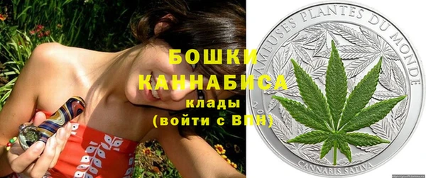 прущие грибы Гусиноозёрск
