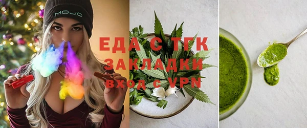 прущие грибы Гусиноозёрск