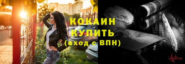 прущие грибы Гусиноозёрск