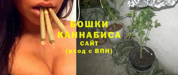 прущие грибы Гусиноозёрск