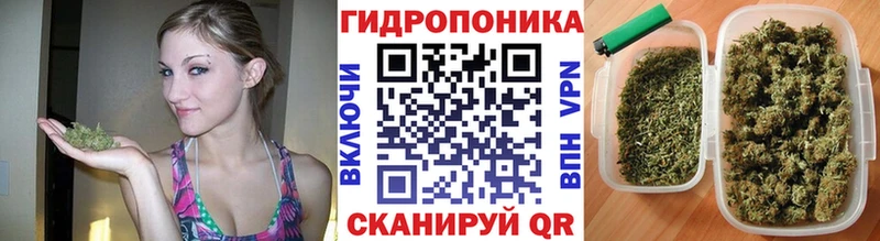 Шишки марихуана план Купить где Ардатов